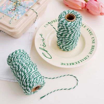 DIY 2 Strand Twisted Cord 550 Pounds 2mm Cotton Macrame Cord